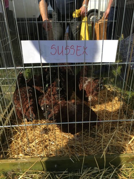  - TARG MONOR 14 05 2017