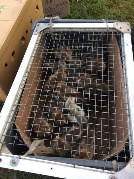  - TARG MONOR 14 05 2017