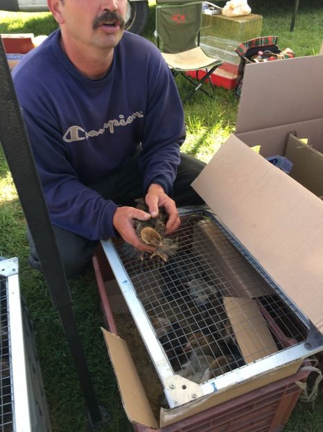  - TARG MONOR 14 05 2017