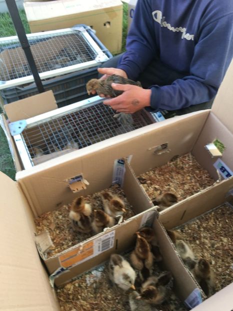  - TARG MONOR 14 05 2017