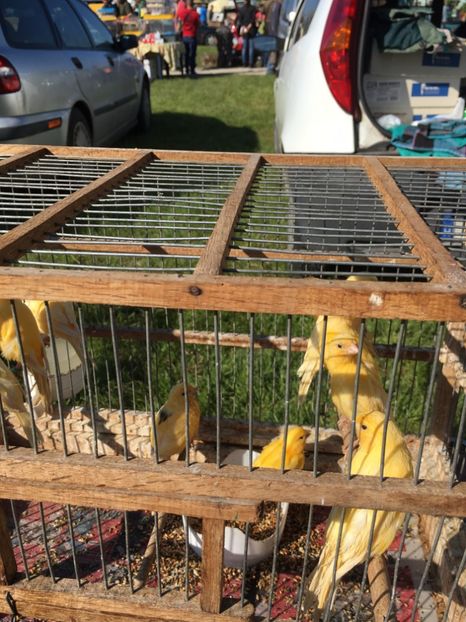  - TARG MONOR 14 05 2017