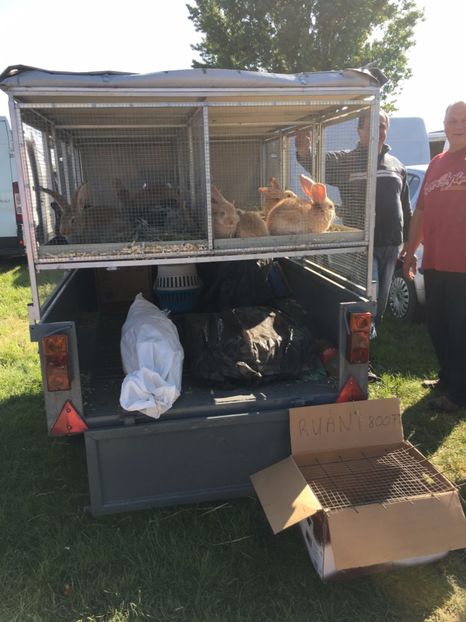  - TARG MONOR 14 05 2017