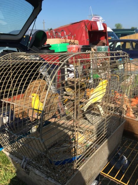  - TARG MONOR 14 05 2017