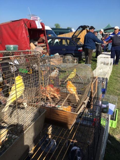  - TARG MONOR 14 05 2017