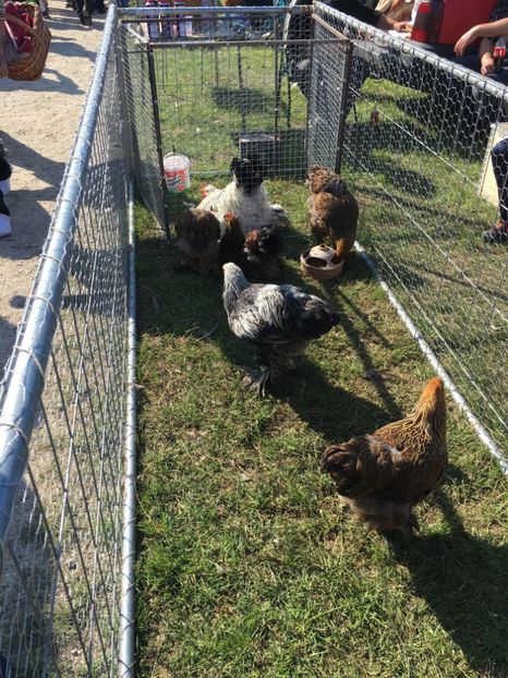  - TARG MONOR 14 05 2017