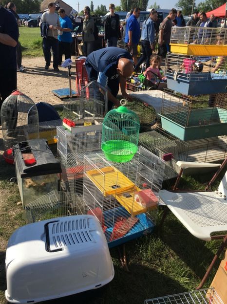  - TARG MONOR 14 05 2017