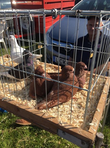  - TARG MONOR 14 05 2017