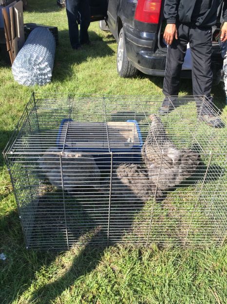  - TARG MONOR 14 05 2017