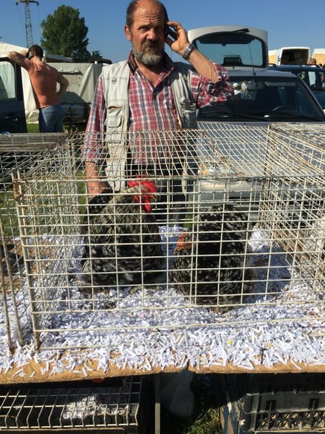  - TARG MONOR 14 05 2017