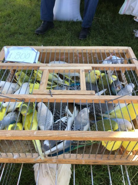  - TARG MONOR 14 05 2017