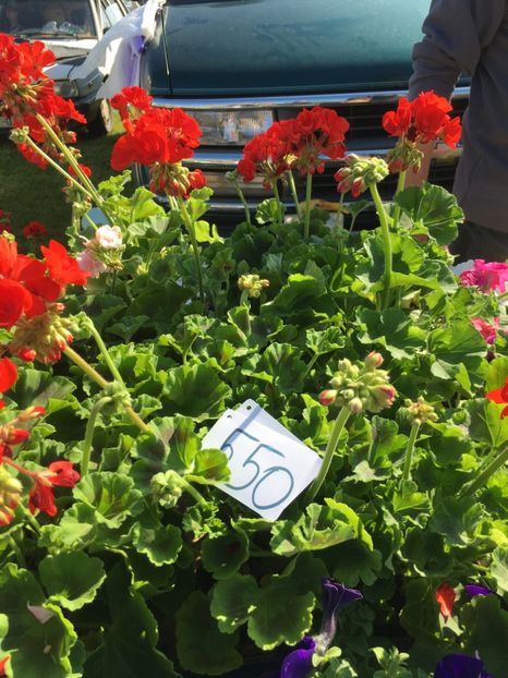  - TARG MONOR 14 05 2017