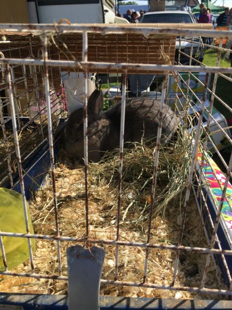  - TARG MONOR 14 05 2017