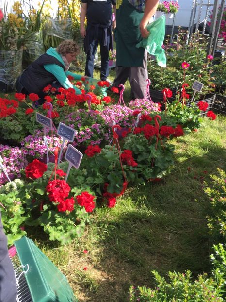  - TARG MONOR 14 05 2017