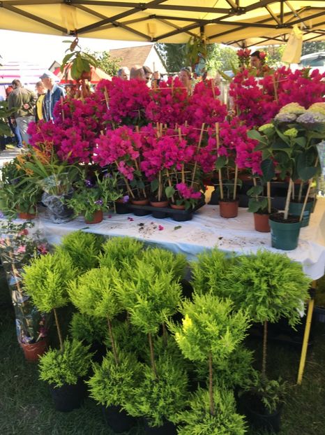  - TARG MONOR 14 05 2017