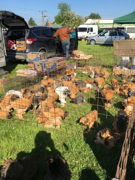  - TARG MONOR 14 05 2017