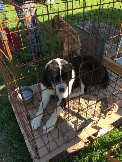  - TARG MONOR 14 05 2017