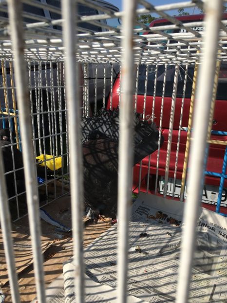  - TARG MONOR 14 05 2017