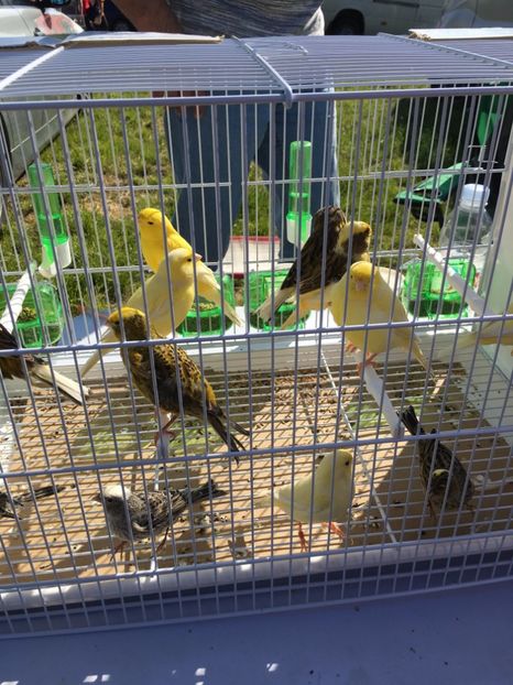  - TARG MONOR 14 05 2017