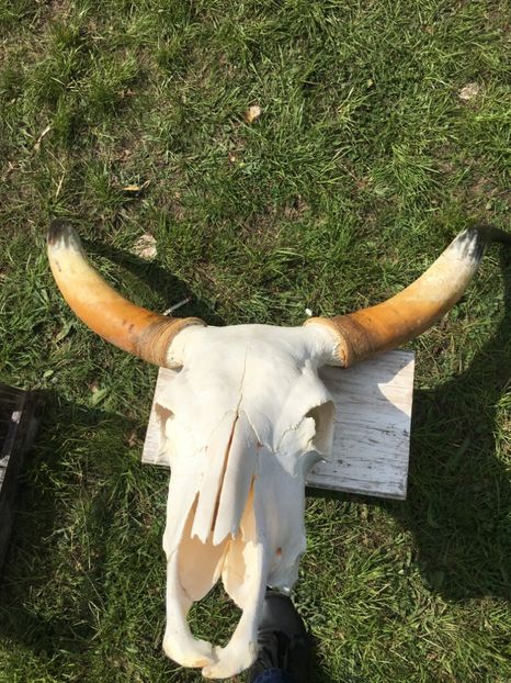  - TARG MONOR 14 05 2017