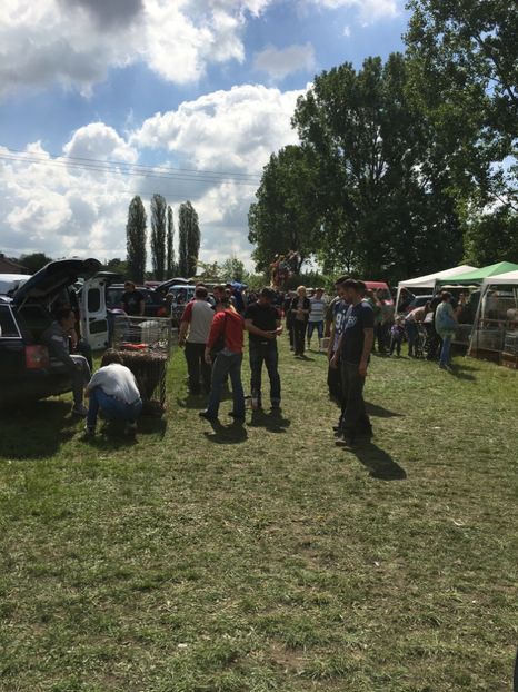  - TARG MONOR 14 05 2017