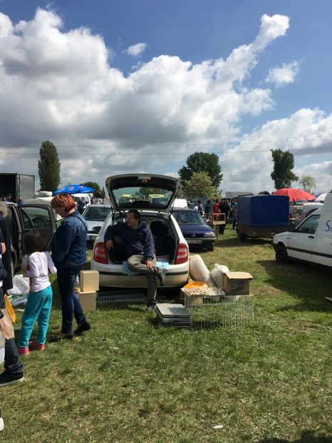  - TARG MONOR 14 05 2017