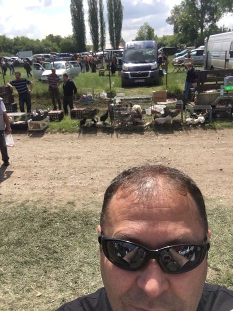  - TARG MONOR 14 05 2017