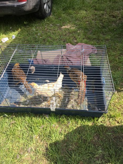  - TARG MONOR 14 05 2017