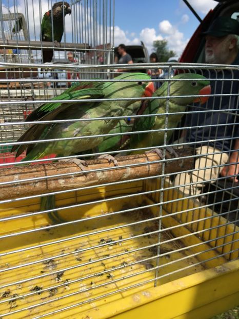  - TARG MONOR 14 05 2017