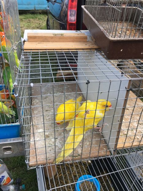  - TARG MONOR 14 05 2017