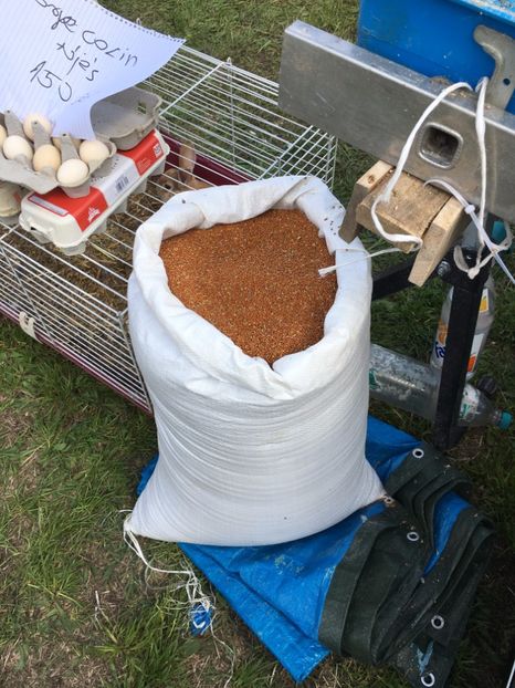  - TARG MONOR 14 05 2017