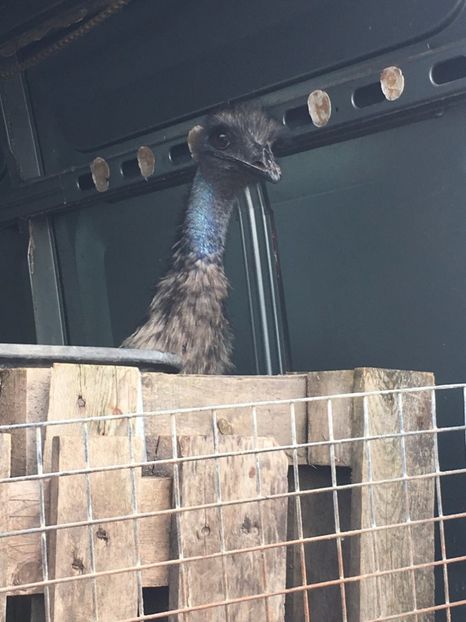  - TARG MONOR 14 05 2017