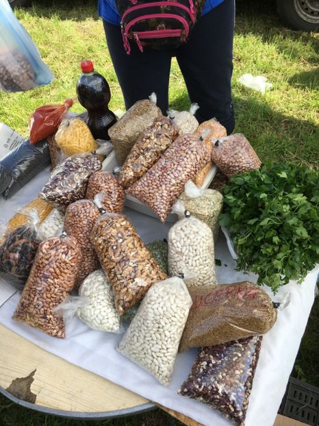  - TARG MONOR 14 05 2017