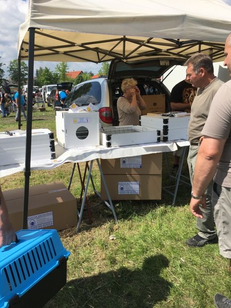  - TARG MONOR 14 05 2017