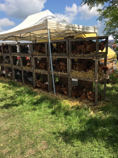  - TARG MONOR 14 05 2017