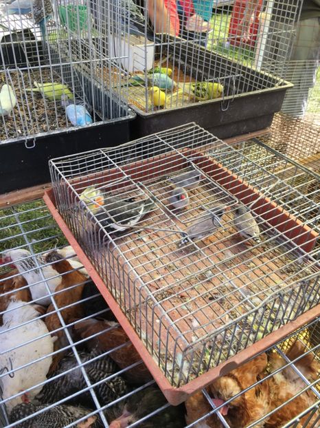  - TARG MONOR 14 05 2017