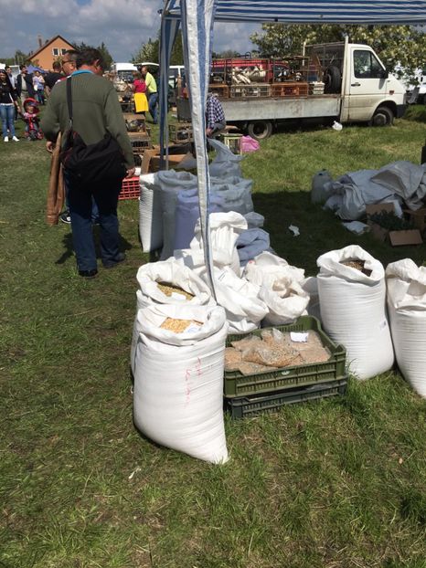  - TARG MONOR 14 05 2017