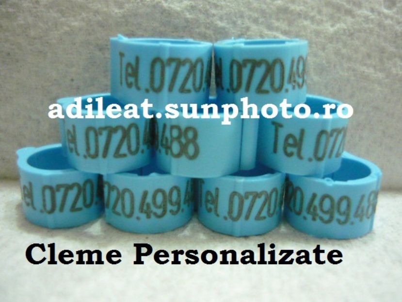 P1130008 - Cleme personalizate new 2018
