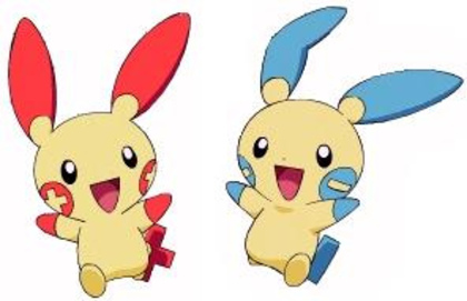 2840582695_4be202ff70[1] - minun and plusle