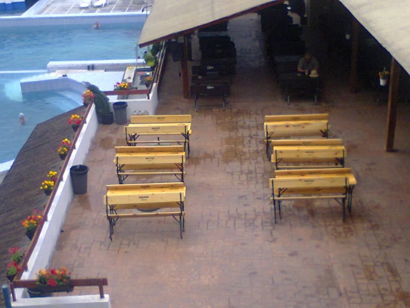 Fotografie2746 - 2017 CONCEDIU FELIX 28V-9VI HOTEL PADIS