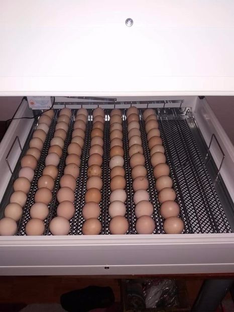  - Vind cumpar schimb