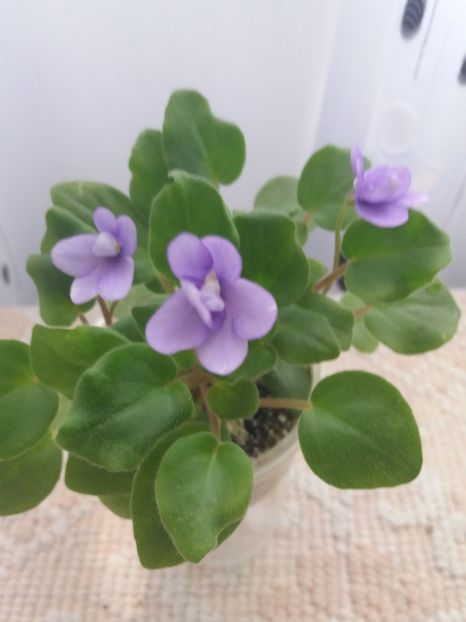 10 iunie - Rob s Humpty Doo Sport