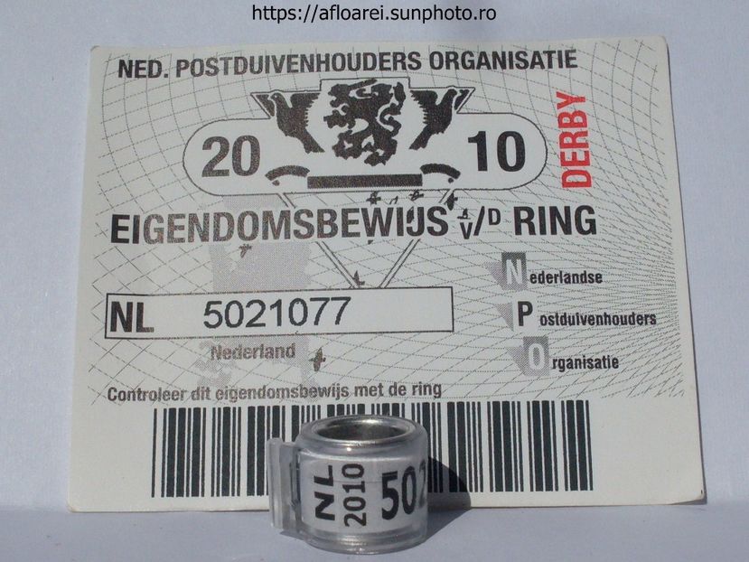 NL 2010 - OLANDA DERBY