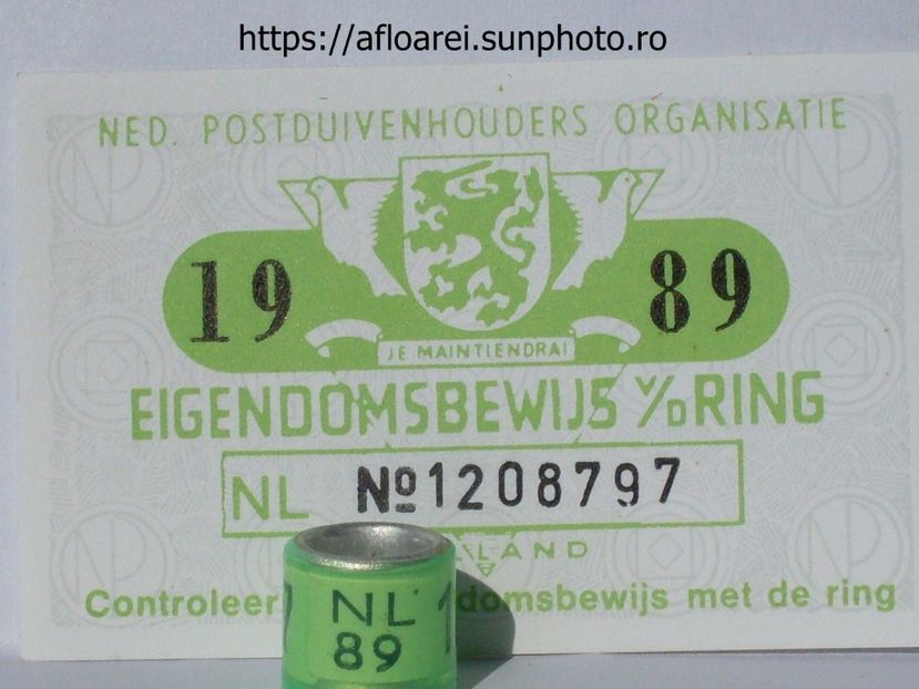 NL 89 - OLANDA-NL