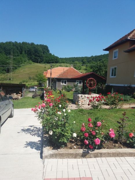 poze 042 - Adaposturi