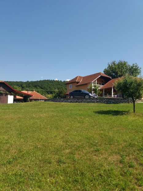 poze 050 - Adaposturi