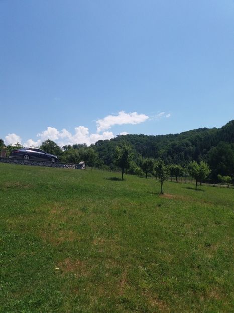 poze 076 - Adaposturi