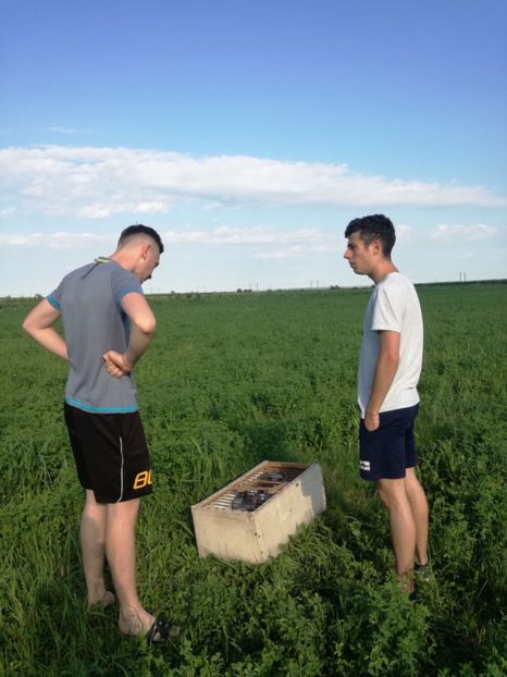  - 2017 Antrenament-pregatire-fond-2--6 iulie