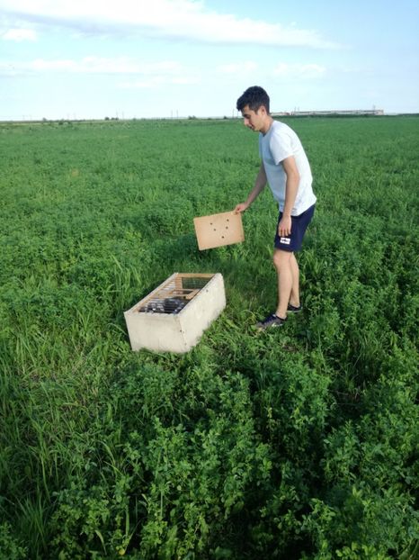  - 2017 Antrenament-pregatire-fond-2--6 iulie