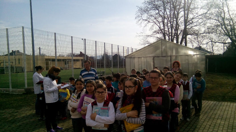  - simulare cutremur 2017