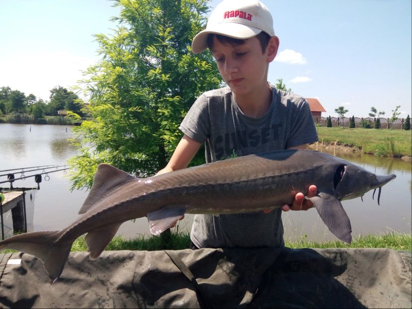 Sannicolau iunie 2017 - Capturi-pesti